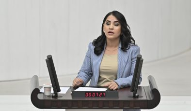 DEM Partili vekilden Meclis’te küstah sözler! “Öcalan’a özgürlük” istedi