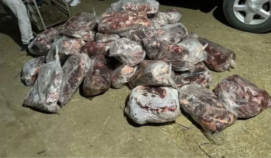 1 ton domuz eti ele geçirildi! Yakalanmasalar vatandaşa yedireceklerdi