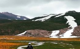 Endemik çiçekleri motosikletle ezdiler