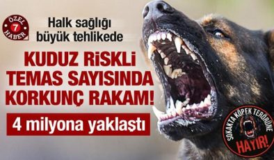 Kuduz riskli temas sayısında korkunç rakamlar: Son 15 yılda 4 milyon kişiye yaklaştı!