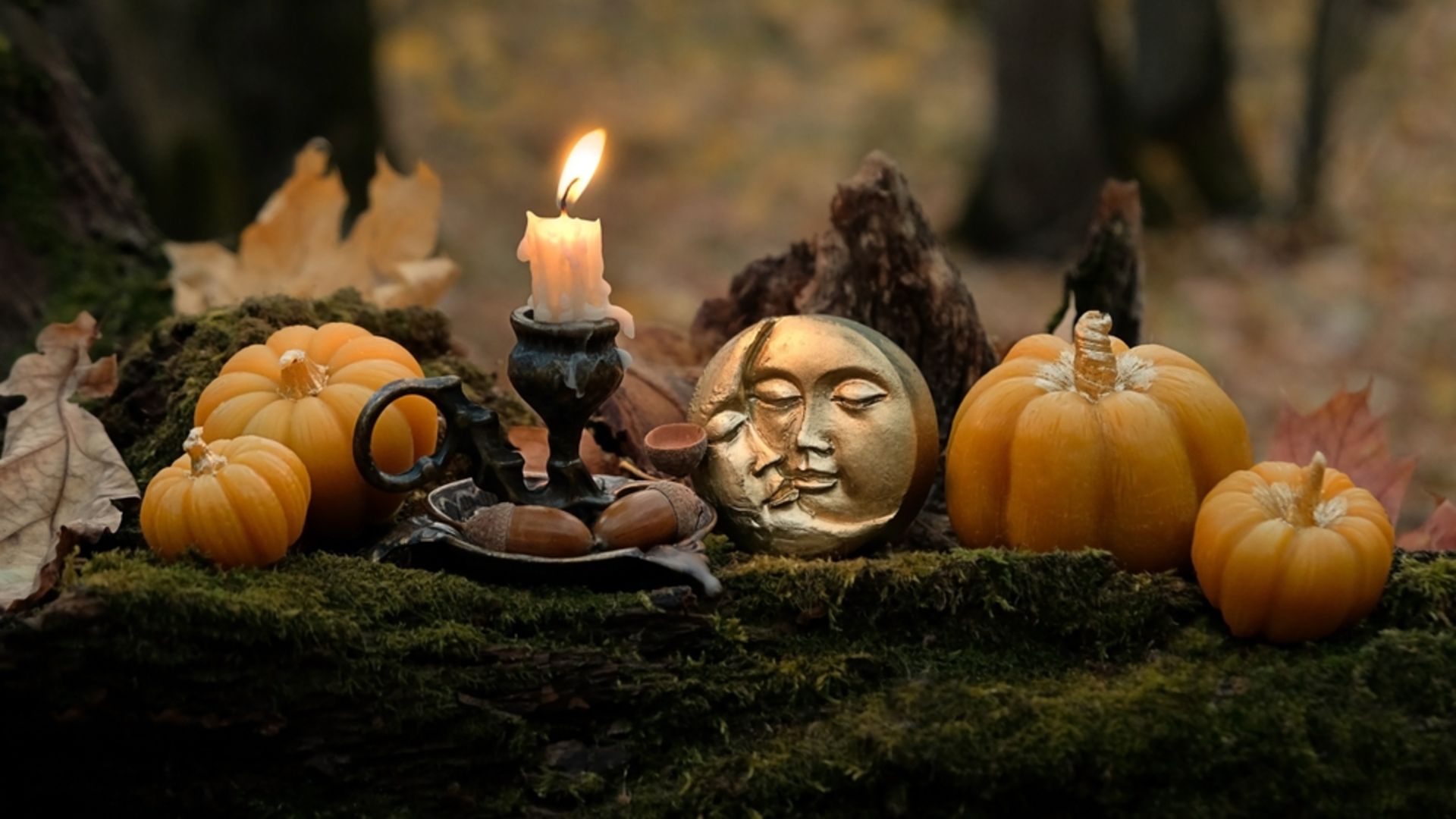 25 Kasım – 1 Aralık 2024 haftalık burç yorumları