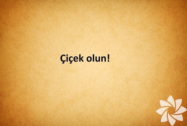 Benim adım öğretmen!