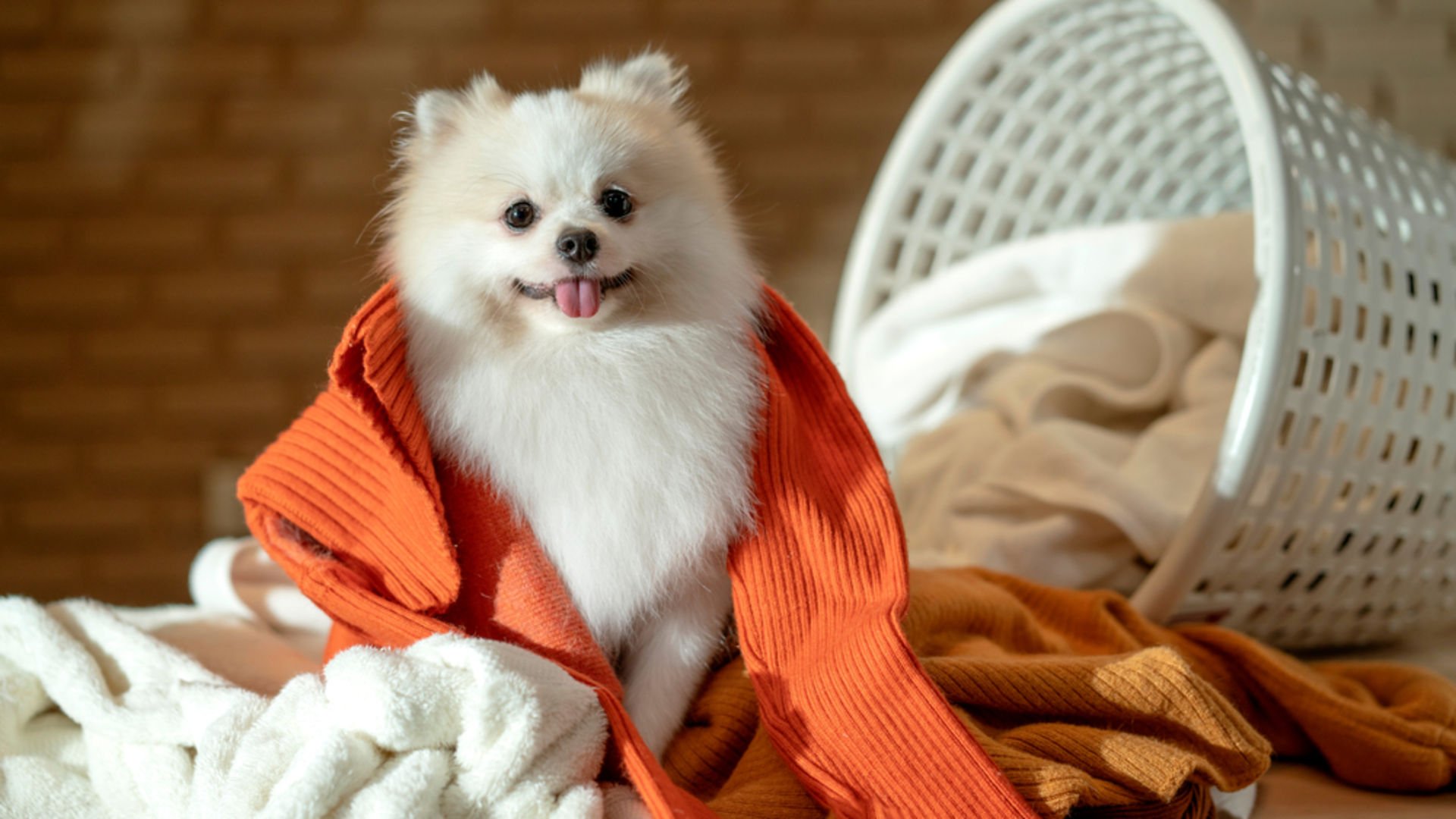 Evi düzenlemenin püf noktaları